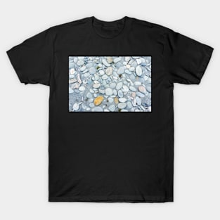Stone in variety and colour on beach T-Shirt